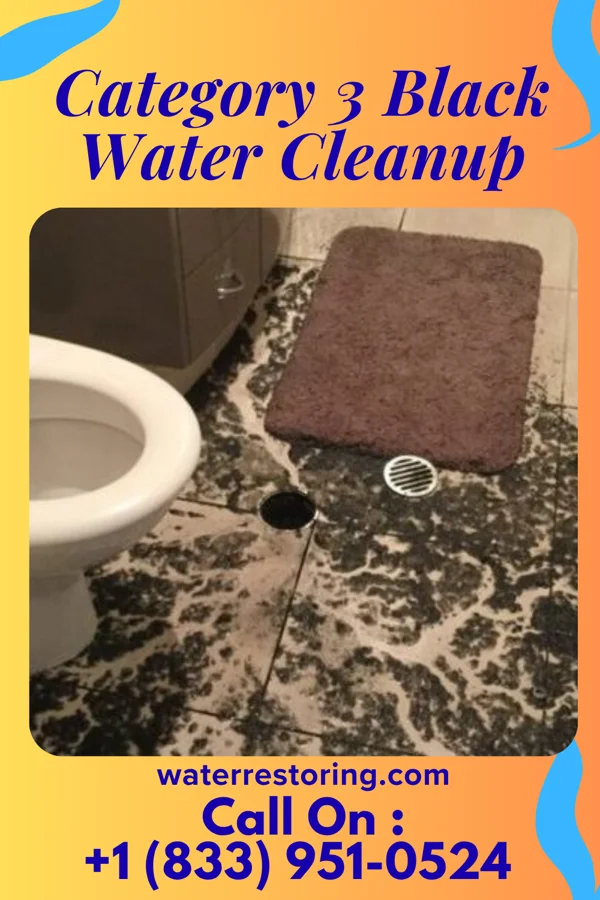Category 3 Black Water Cleanup in Pillsbury, ND