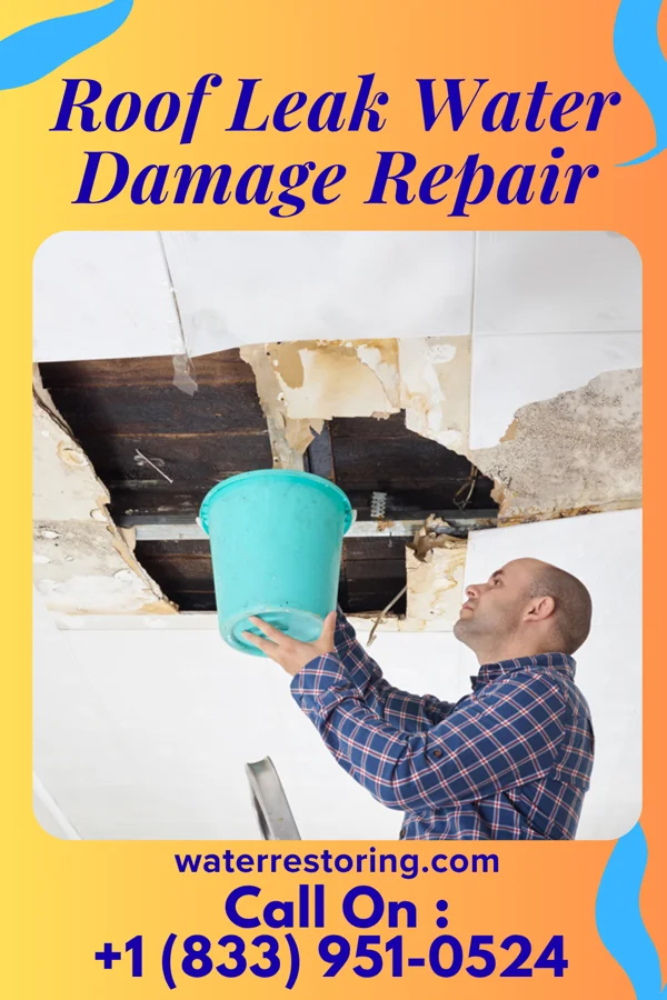 Roof Leak Water Damage Repair in Pillsbury, ND
