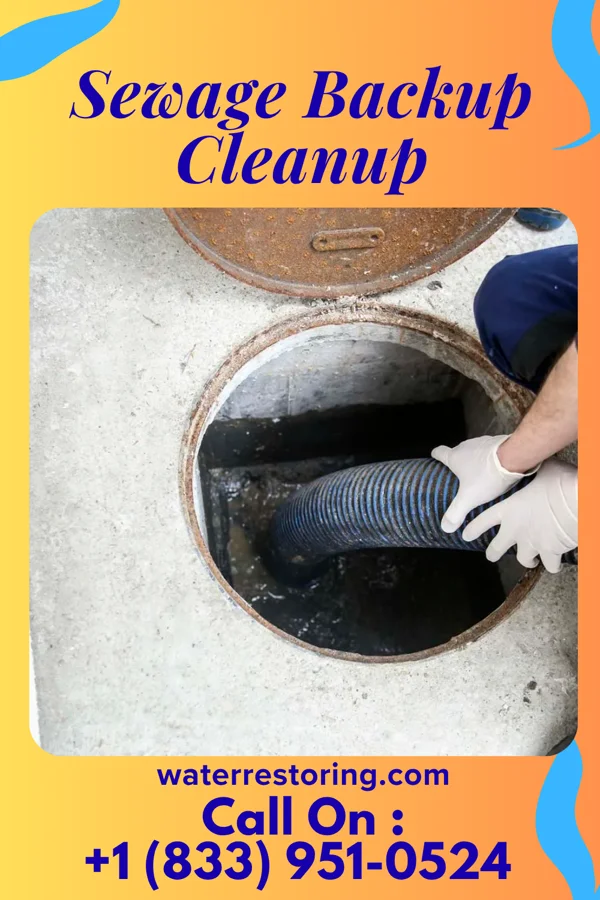 Sewage Backup Cleanup in Pillsbury, ND