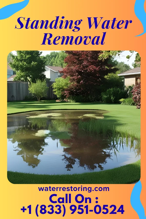 Standing Water Removal in Pillsbury, ND